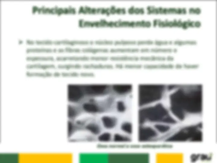 pf16