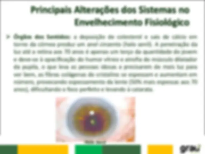 pf13