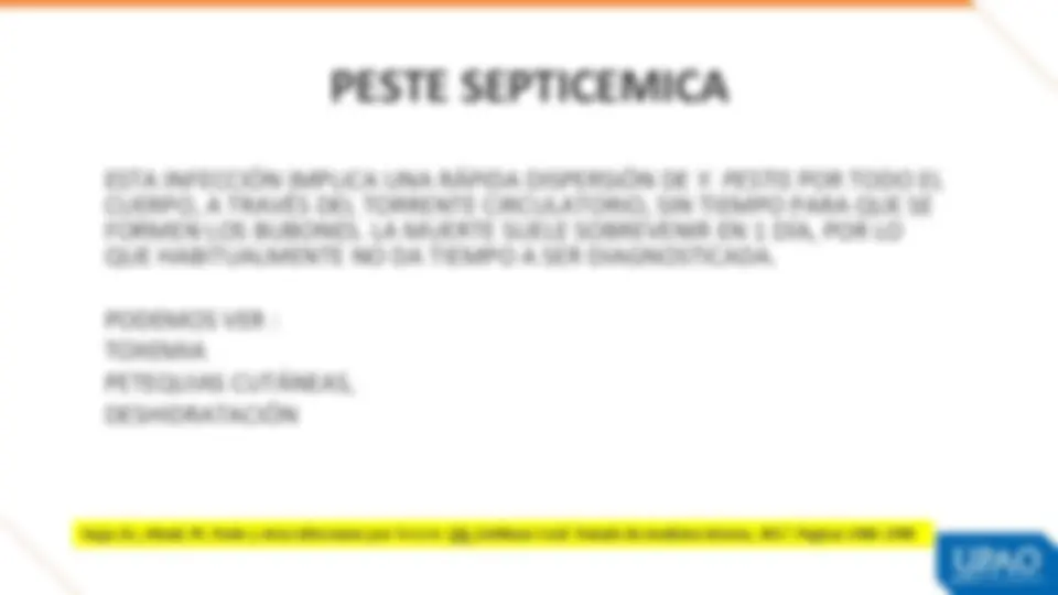 pf21