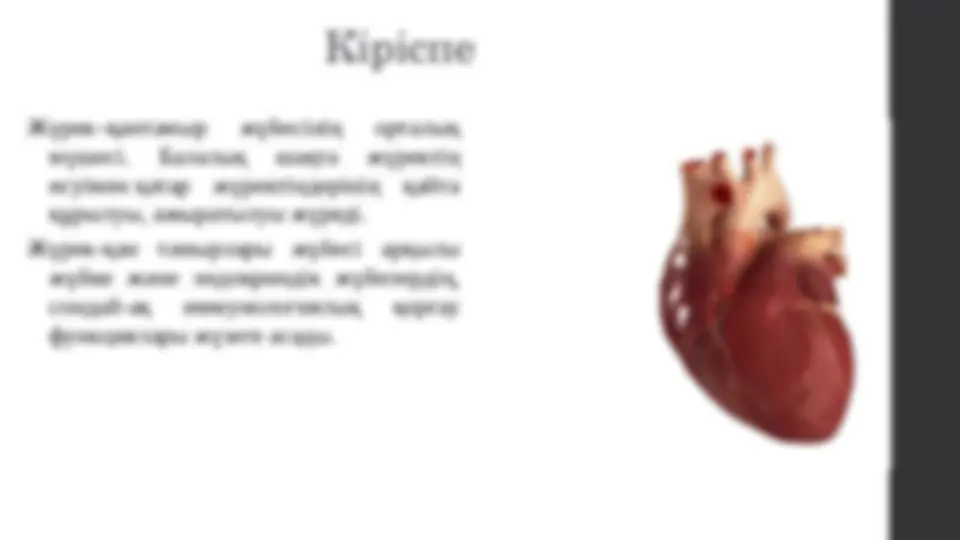 Апайдың түкті порносы