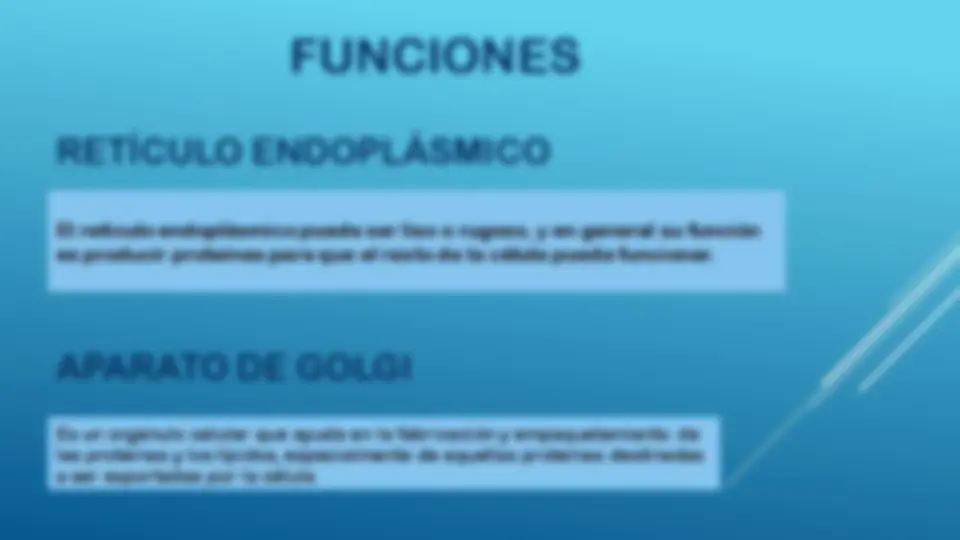pf5