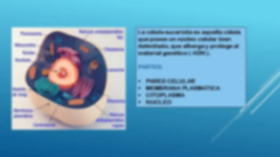 pf3