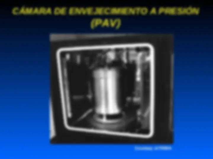 pf19