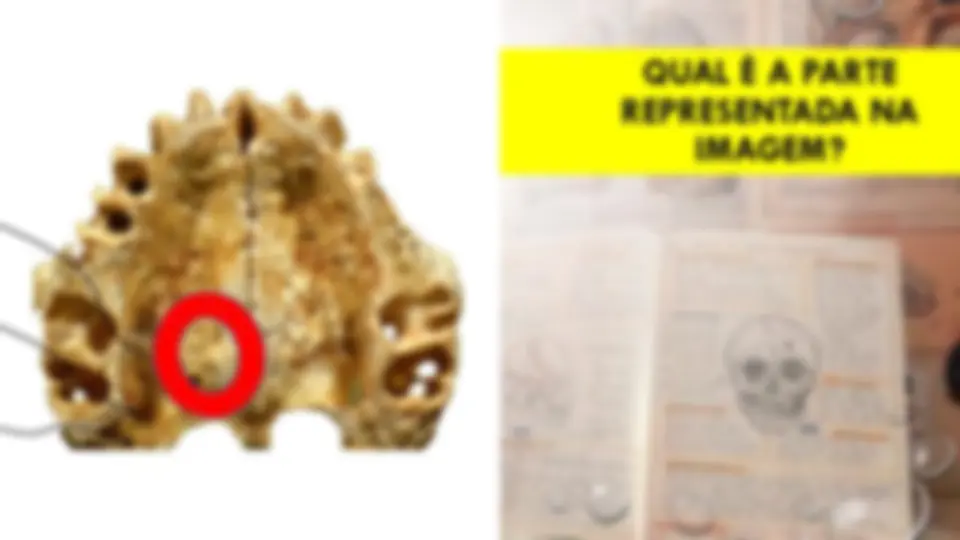 pf48