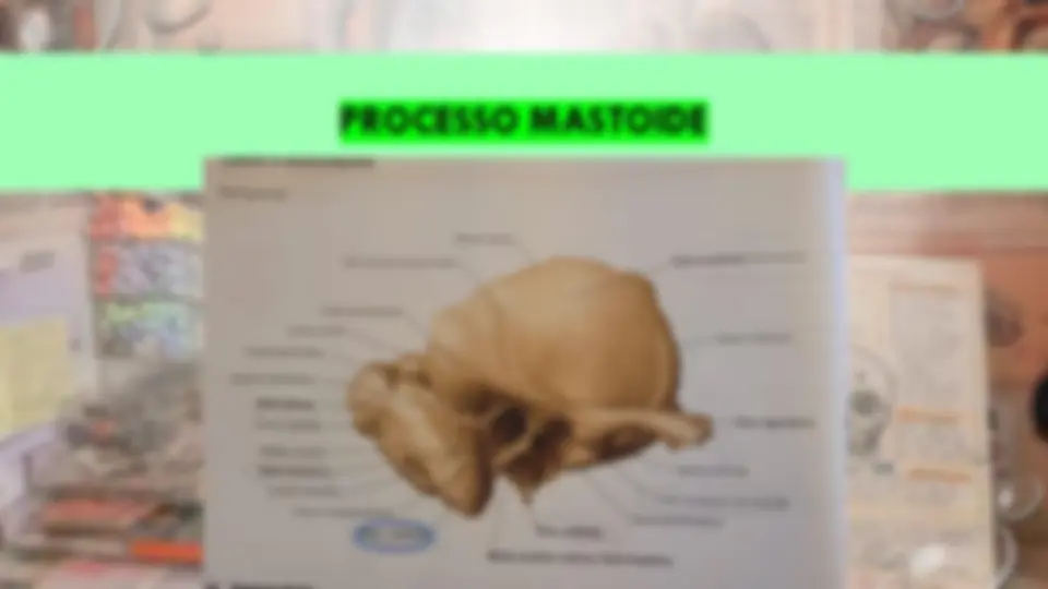 pf5f