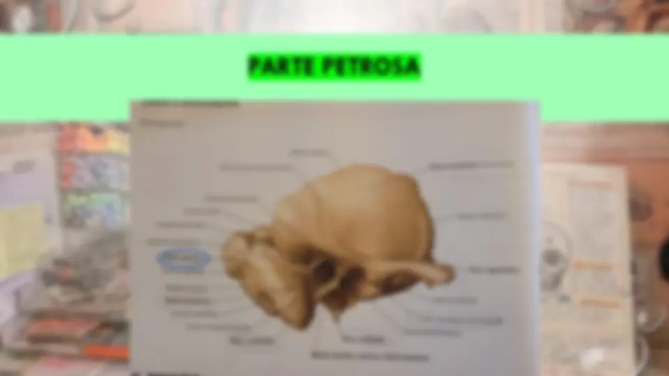 pf5d