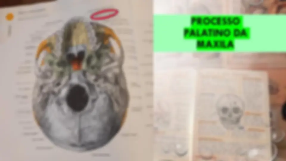pf47