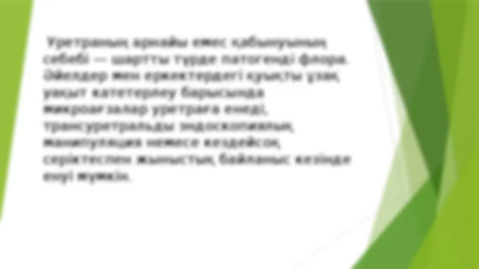 Чистопольдің жезөкшелері