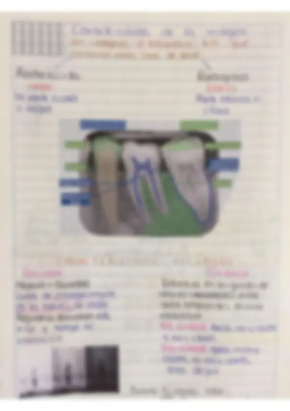 pf16