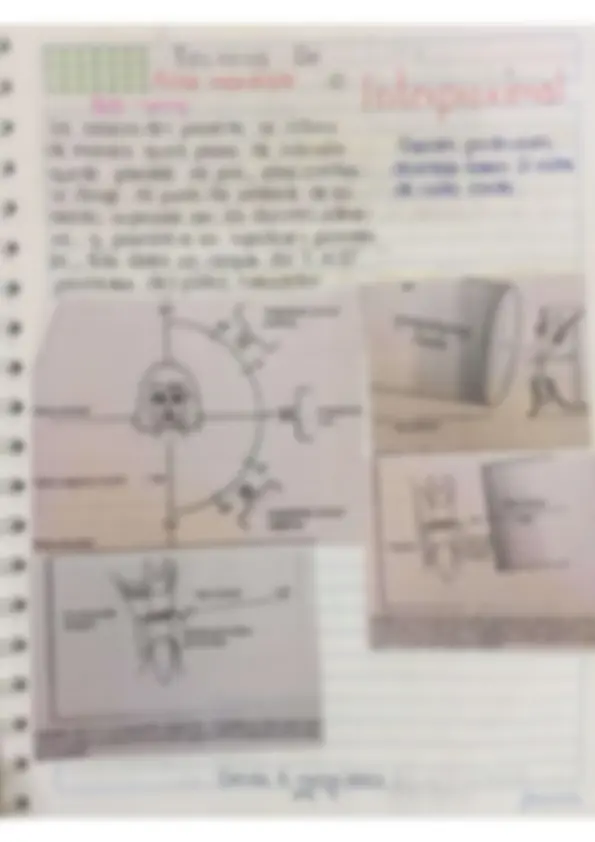 pfa