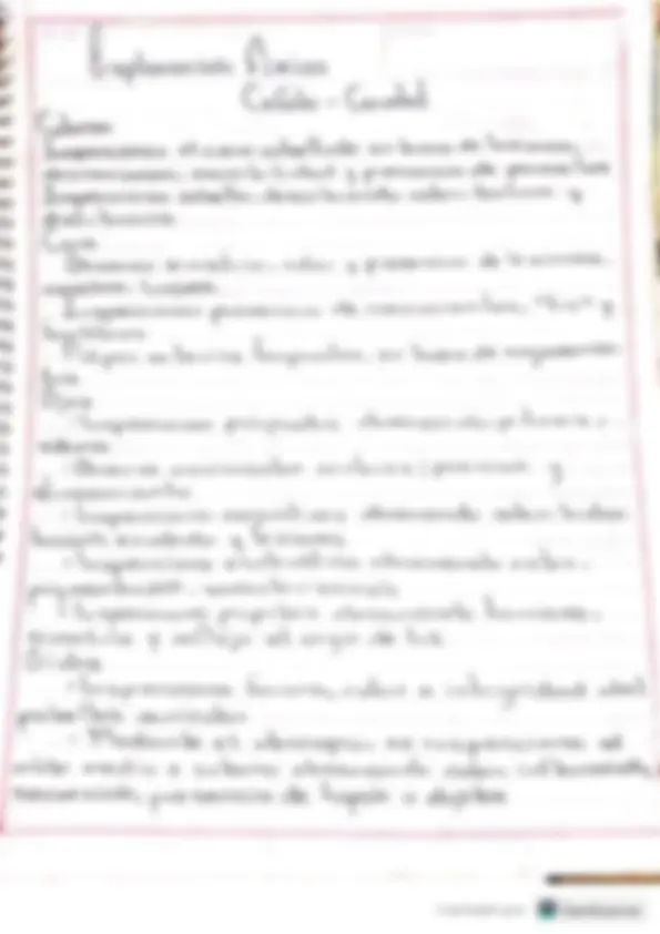 pf3
