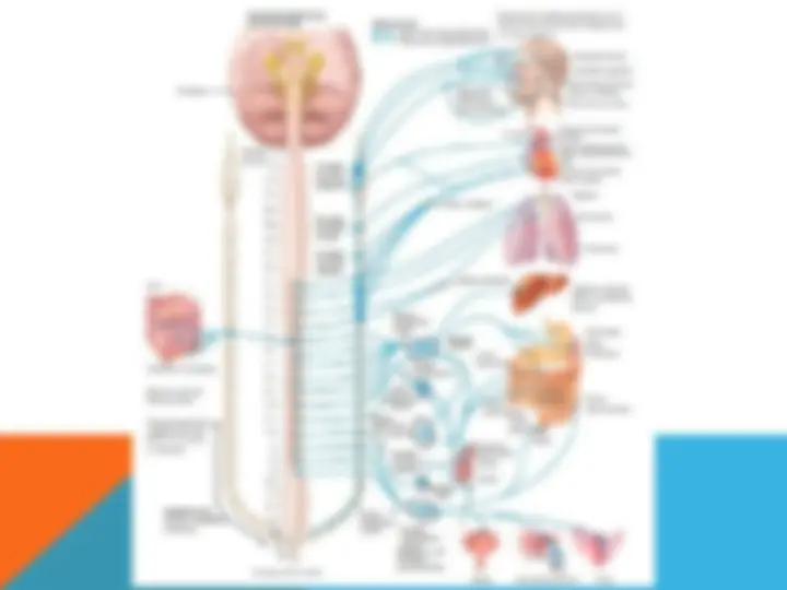 pf4