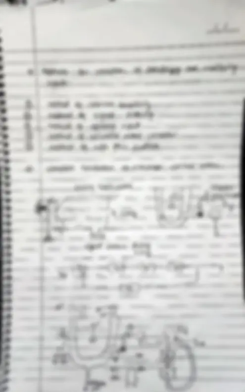 pf5