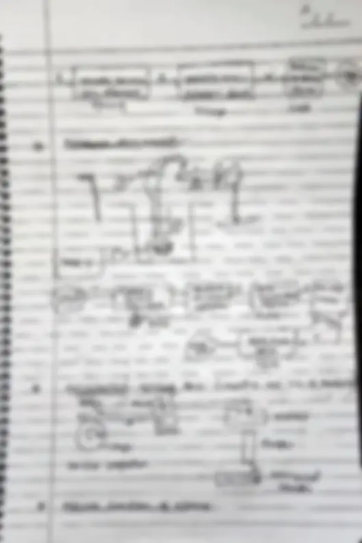 pf3
