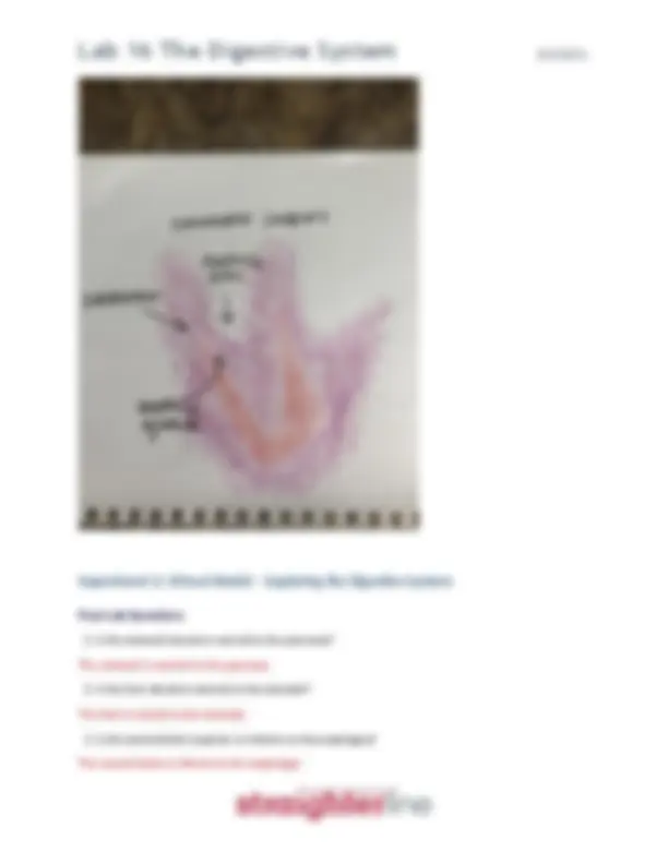 pf5