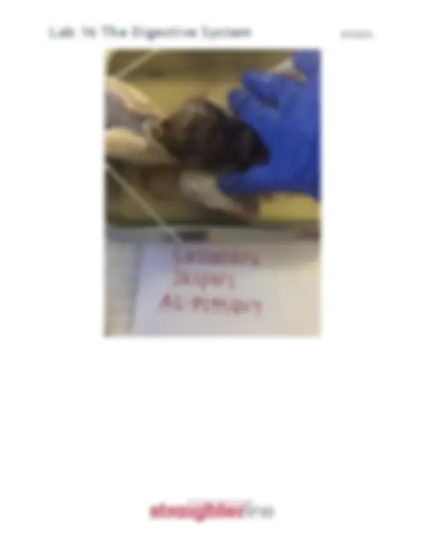 pfa