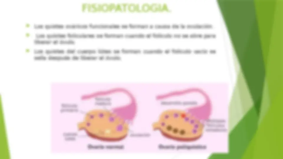 pf3