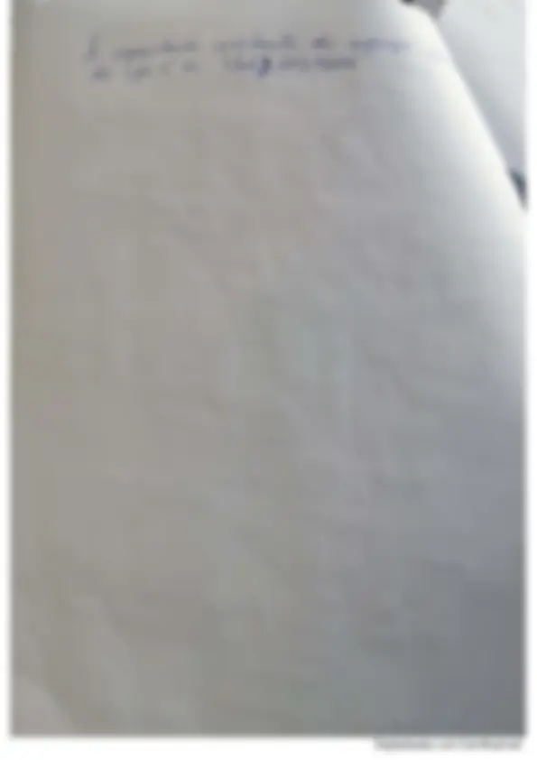 pf19