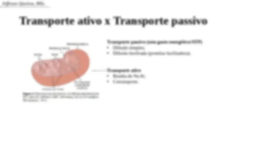 pf16