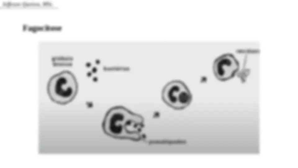 pf19