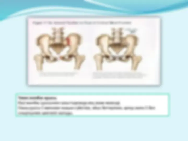 Жалаңаш душта секс туралы бейне