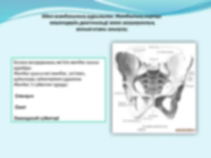 Тістерін тазалап жатқанда оны ұрып жіберді