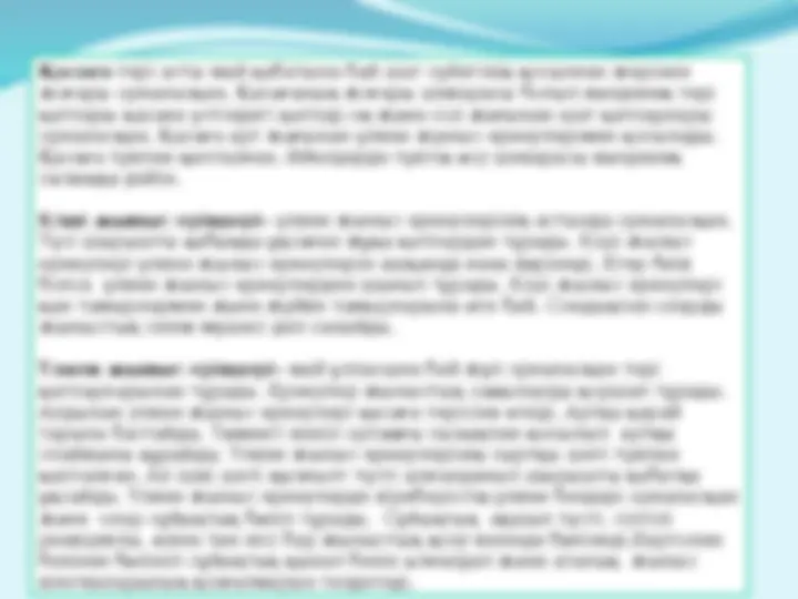 Порно ананың кискасына қарайды