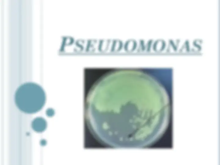 pf16