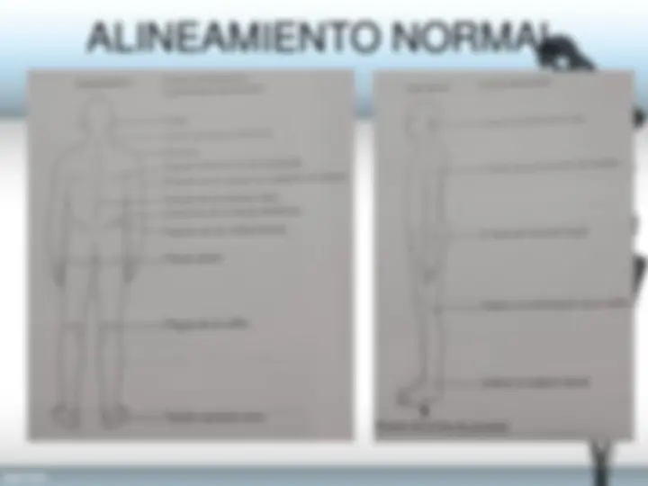 pf3