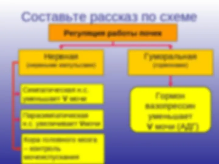 pf16