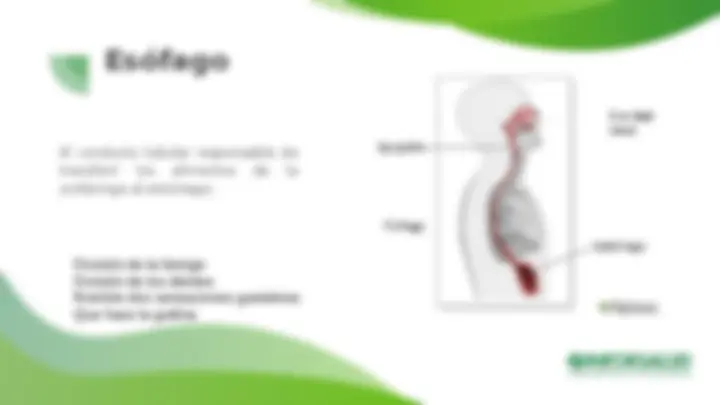 pfa