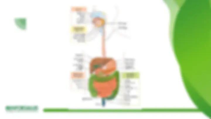 pf3