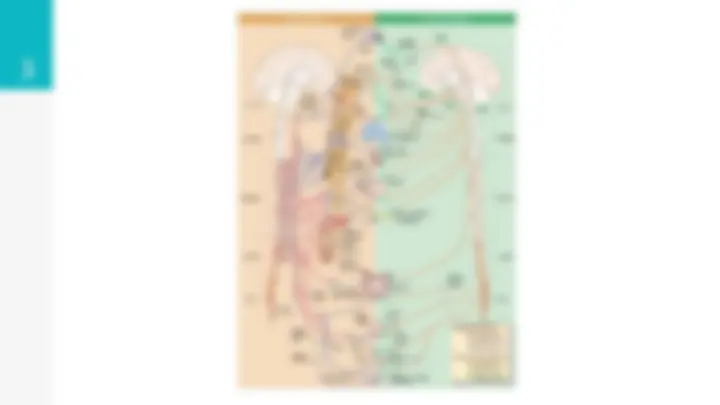pf3