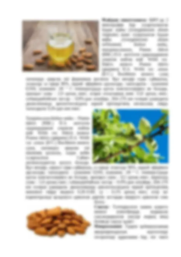 Бір-бірімен жыныстық қатынасқа түскен мас әйелдер