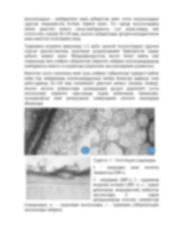 Ресейлік жұптардың жеке порносы