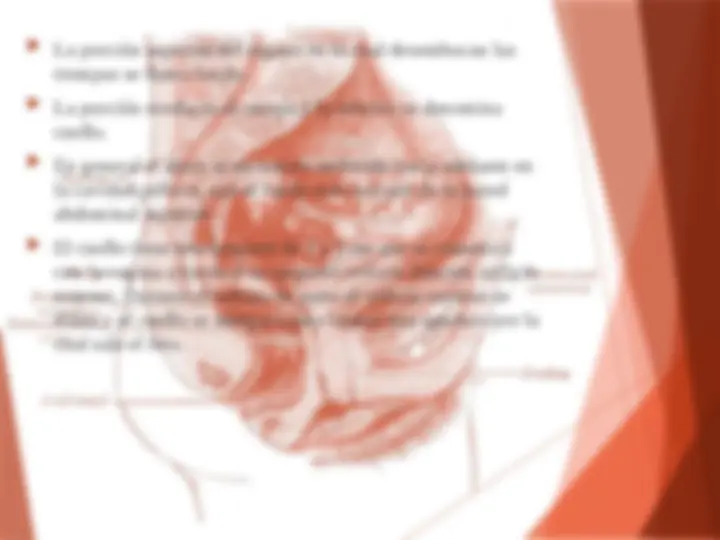 pf3