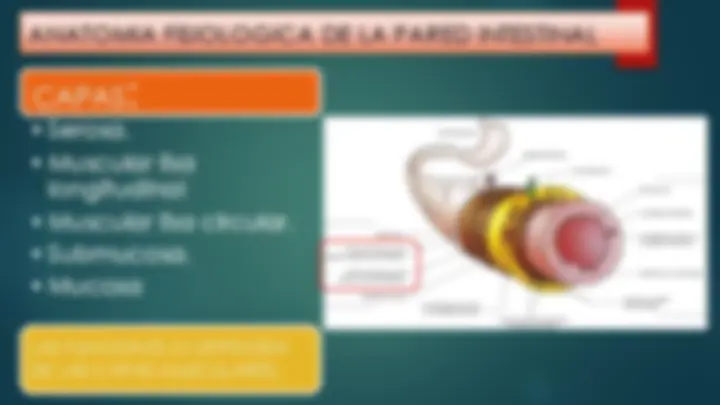 pf3