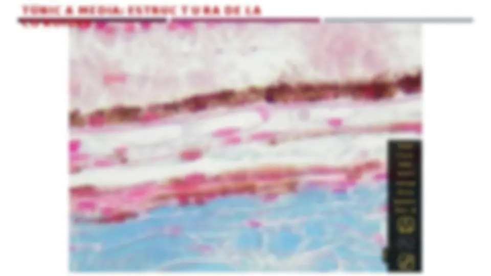 pf13