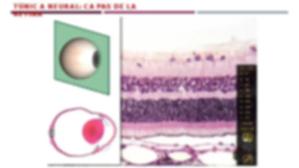 pf24
