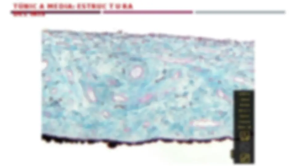 pf15