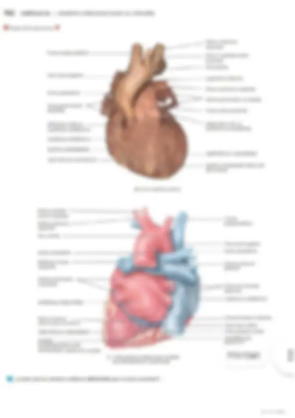 pf5
