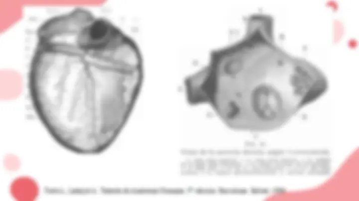 pf2a