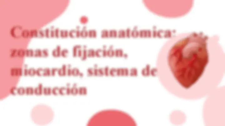 pf13