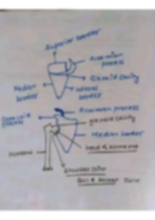pf8