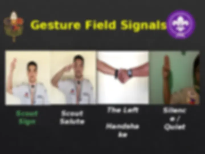 pfd