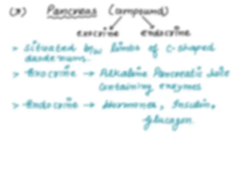 pf17