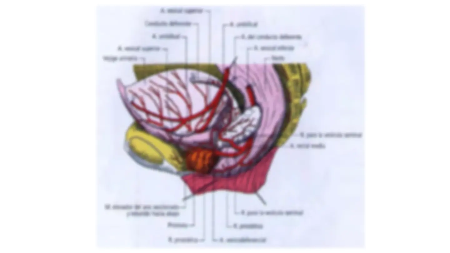 pfa