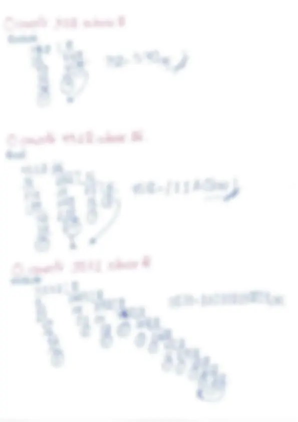 pf19