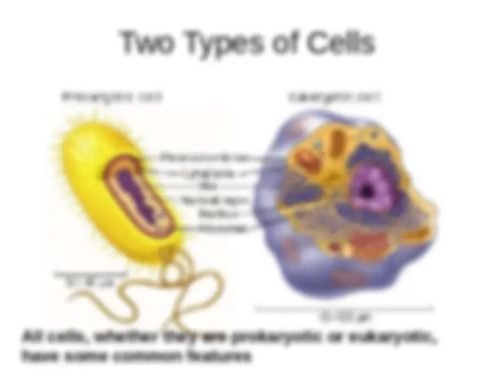 pf3