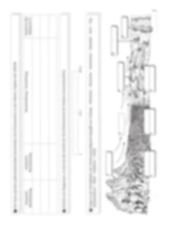 pf2